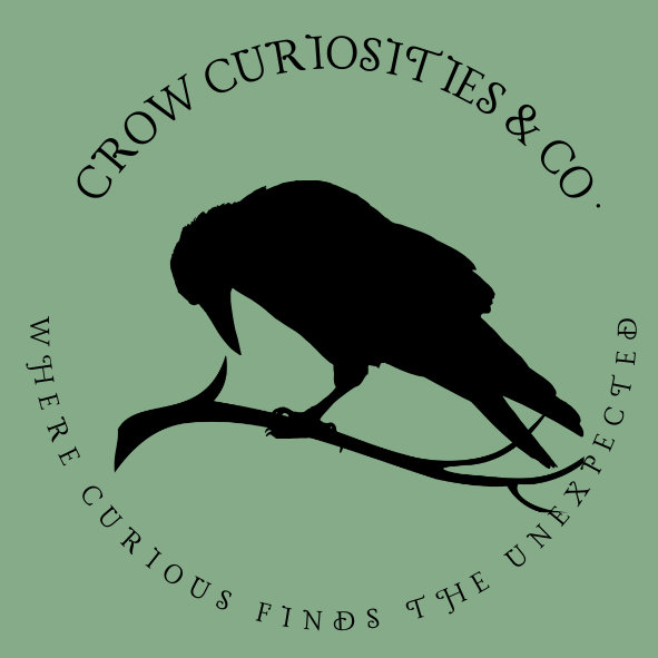 Crow Curiosities & Co